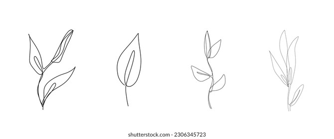 Outline sketch natural wild plant leaves doodle botanical hand drawn vector gardening one continuous line foliage leaf