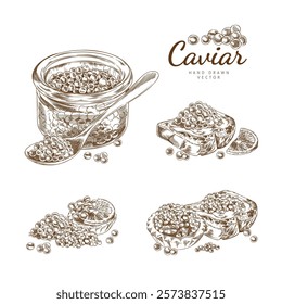 Outline sketch set of illustrations with caviar in a jar, tartlet, sandwich and spoon. Vector of delicacy seafood hand drawn. Red or black caviar in vintage engraved style. Poster with text.