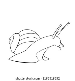 outline, sketch snail