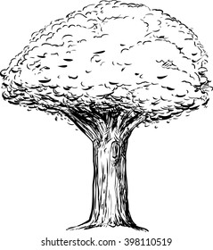 Outline sketch of tree with thick trunk over white background