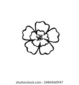 outline of a small field flower, vector illustration