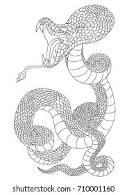 Outline of snake vector. Hand drawn cobra isolate on white.Traditional Japanese culture for printing on background.