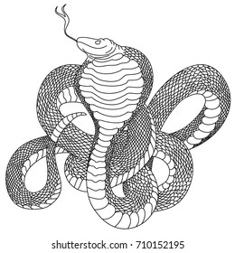 Outline of snake vector. Hand drawn cobra isolate on white.Traditional Japanese culture for printing on background.Snake with Sunrise for coloring book on background.