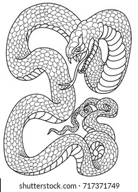 Outline of snake vector. Hand drawn cobra isolate on white background.Traditional Japanese culture for printing on background.Snake with Sunrise for coloring book
