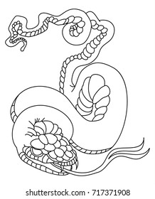 Outline of snake vector. Hand drawn cobra isolate on white background.Traditional Japanese culture for printing on background.Snake with Sunrise for coloring book
