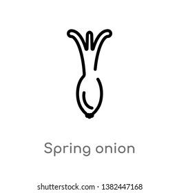 outline spring onion vector icon. isolated black simple line element illustration from fruits concept. editable vector stroke spring onion icon on white background