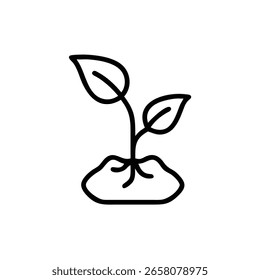 Delinear uma plântula germinativa com duas folhas no crescimento da planta do solo