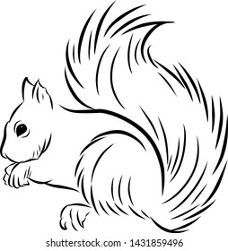 Outline squirrel vector animal logo design