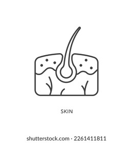 Outline style health care ui icons collection. Vector black linear illustration. Skin layers with hair anatomy symbol isolated on white. Design element for healthcare infographic