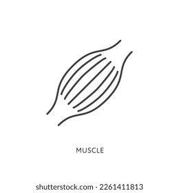 Outline style health care ui icons collection. Vector black linear illustration. Muscle tissue anatomy symbol isolated on white. Design element for healthcare infographic