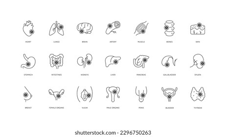 Outline style health care ui icons collection. Vector black linear illustration set. Disease and problem exclamation point symbol. Human organ and body parts isolated. Design element for healthcare