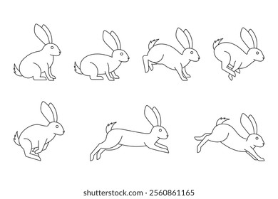 outline style rabbit vector collection, bunny motion icon