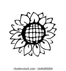 Outline sunflower. Black hand drawn doodle sketch. Black vector illustration isolated on white. Line art. 