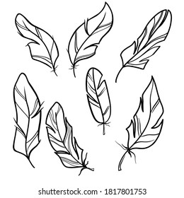 Outline symbol collection. Retro collection. Vector doodle illustration. Hand drawn style vector. Feathers doodle set vector in vintage style.