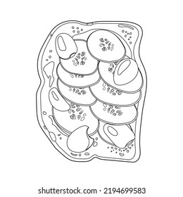 Outline Toast with olives, cucumbers, tomato, pepper and sour cream. Vegetable toast on grilled bread slice. Open sandwich. Vegan snack food. Vector illustration.