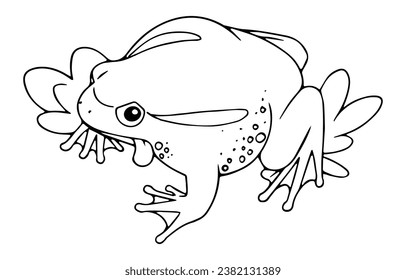 Outline tomato frog sits in grass. Cute froglet with patterned skin. Contour poison toad, toxic forest froggy. Swamp fauna. Coloring book. Lineart isolated vector illustration on white background