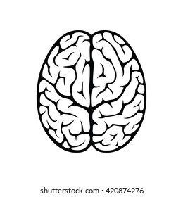 Outline top view illustration of human brain isolated on white background