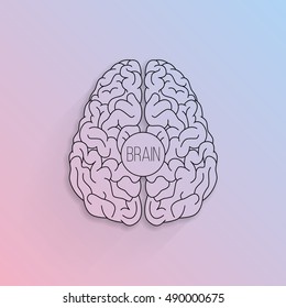 Outline top view illustration of human brain