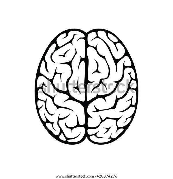 Outline Top View Illustration Human Brain Stock Vector (Royalty Free ...