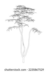 Outline of a tree from black lines isolated on a white background. 3D. Vector illustration.