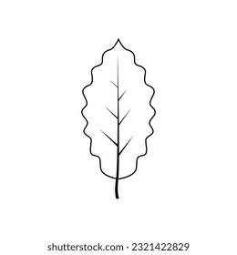 Dibujo vectorial de hoja de árbol de contorno aislado en fondo blanco
