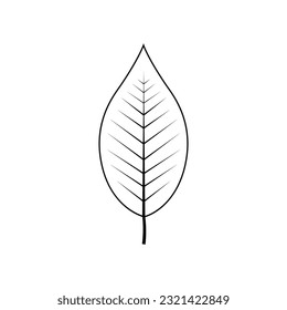 Dibujo vectorial de hoja de árbol de contorno aislado en fondo blanco