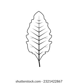 Outline tree leaf vector illustration isolated on white background