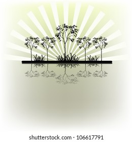 Outline of trees and grass