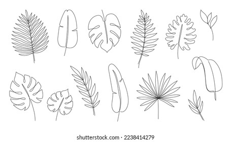 Outline tropic palm leaf set. One continuous line art tropic tree leaves. Editable stroke monstera, jungle foliage floral element. Isolated vector illustration