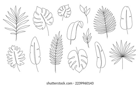 Outline tropic palm leaf set. One continuous line art tropic tree leaves. Editable stroke monstera, jungle foliage floral element. Isolated vector illustration