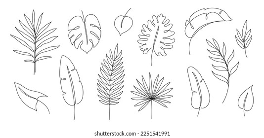 Outline tropic palm leaf set. One continuous line art tropic tree leaves. Editable stroke monstera, jungle foliage floral element. Isolated vector illustration