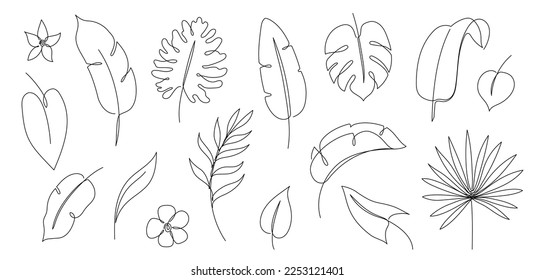 Outline tropic palm leaf set. One continuous line art tropic tree leaves. Editable stroke monstera, jungle foliage floral element. Isolated vector illustration