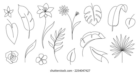 Outline tropic palm leaf set. One continuous line art tropic tree leaves. Editable stroke monstera, jungle foliage floral element. Isolated vector illustration