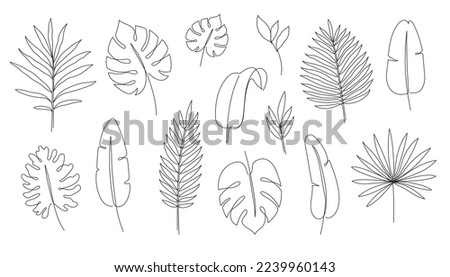 Outline tropic palm leaf set. One continuous line art tropic tree leaves. Editable stroke monstera, jungle foliage floral element. Isolated vector illustration