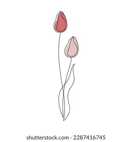 Esquema del vector del icono de flor tulipán. Dibujo continuo de una línea. La silueta de contorno está aislada. Ilustración lineal. Diseño floral, impresión, marca de belleza, tarjeta, afiche. Un diseño minimalista y contemporáneo.