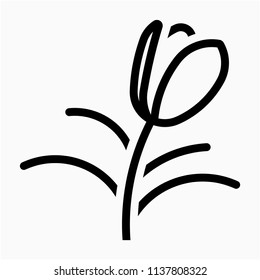 Outline Tulip Flower vector icon