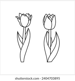 Outline tulip isolated Coloring page book Doodle flower Hand drawn art line Vector stock illustration EPS 10