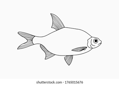 Outline underwater animal isolated on white. Sketch hand drawing art line. Coloring page book. Outline sea life. Vector stock illustration. EPS 10