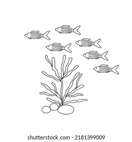 Outline underwater seaweed and swimming fish vector illustration, marine life composition for coloring page, kids leisure activity, aquarium flora cartoon image