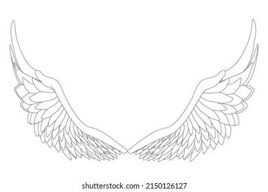 Outline of unfolded angel wings from black lines isolated on white background. Vector illustration