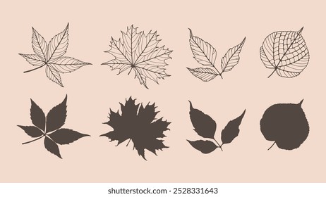 Omtrek van verschillende bladeren geïsoleerd op een lichte achtergrond. Hand getekende vector botanische illustratie