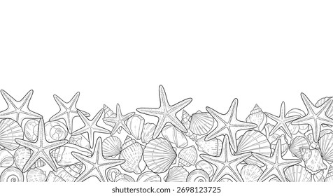 Contorno de várias conchas marinhas e estrelas-do-mar formando uma borda decorativa no fundo, com amplo espaço de cópia acima em um fundo branco.