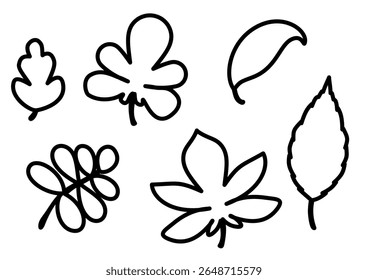 Omtrek Vector Herfstbladeren Set Geïsoleerd Op Witte Achtergrond

Handgetekende omtrek herfstbladeren in zwart en wit. Lineaire botanische elementen voor het kleuren van pagina's, ambachten en seizoen