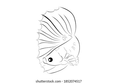 Outline Vector Betta or siamese fighting fish , on Whitebackground

