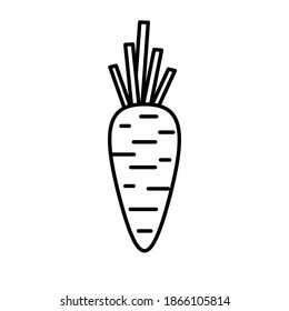 Outline vector carrot icon. isolated on white background. esp