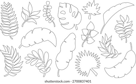 “colección de Vector de contorno de hoja con diseños tropicales y botánicos. Follaje de arte lineal mínimo para ilustraciones de naturaleza. Perfecto para proyectos ecológicos, patrones y decoraciones”.