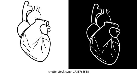 Outline vector drawing of a human heart. Illustration with simple lines in two versions - black on a white background and white on a black background. For design and creativity