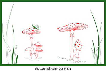 An Outline Vector Drawing of Mushrooms