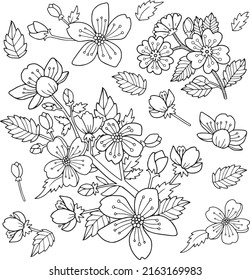 Outline vector drawings of the flowers