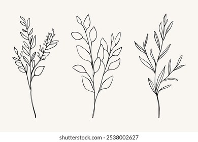 Outline vector floral set. Abstract hand drawn branches, forest plants icons. Contour delicate twigs, stem and leaves.